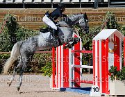 TOSCANO LOVE 2 GioCav2013 S5 1856 : Campionati Italiani Giovani Cavalli, Cattolica, LOVE 2, TOSCANO LORENZO, ph Stefano Secchi ©